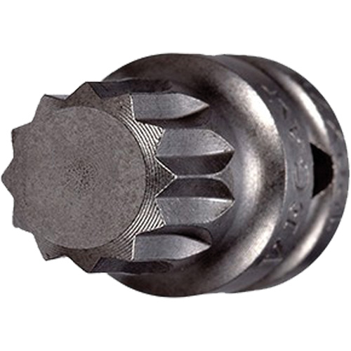 Embout &agrave; ins&eacute;rer, Triple carr&eacute;, 8 x 3/4" lo, Prise 1/4" NRZ Safety Inc.