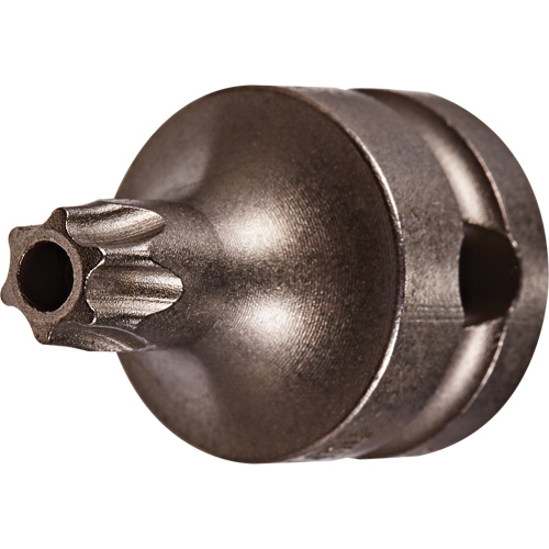 Embout &agrave; ins&eacute;rer, Torx inviolable, 25 x 1" lo, Prise 3/8" NRZ Safety Inc.