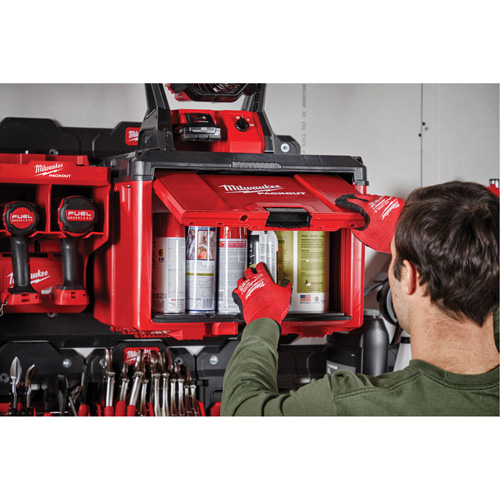 Armoire &agrave; outils Packout, 15" x 15" x 20", Noir/Rouge NRZ Safety Inc.