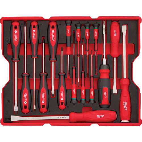 Jeu de tournevis et de leviers avec organisateur pour tiroirs PACKOUT, 17, Magn&eacute;tique NRZ Safety Inc.