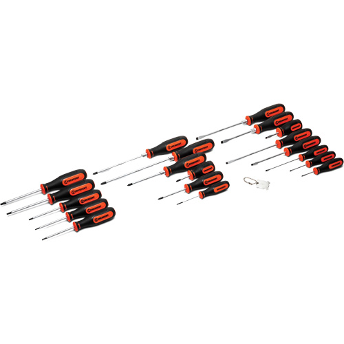 Jeu de tournevis &agrave; double mat&eacute;riaux, 20 mcx. NRZ Safety Inc.