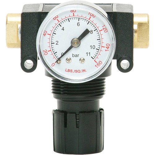 D&eacute;tendeur &agrave; piston en ac&eacute;tal MODULAIR 200, 1/4" NPT, PSI max. de 150 psi, Canalisation/Modulaire NRZ Safety Inc.
