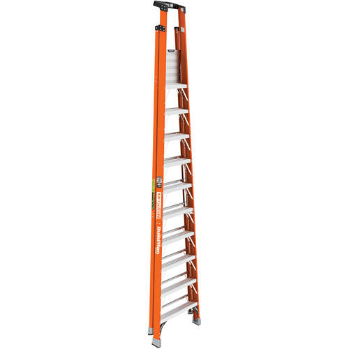 Escabeau avec plateforme Safespace, 10', Cap. De 300 lb NRZ Safety Inc.