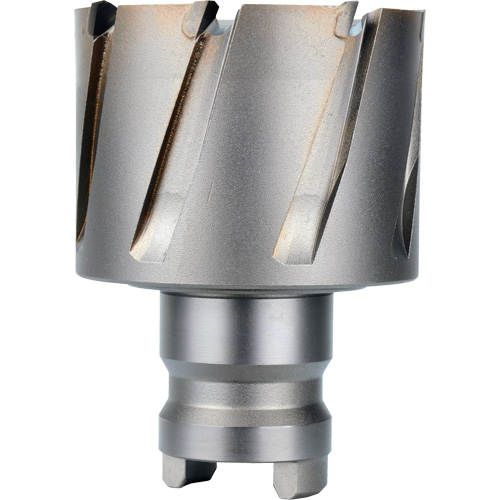 Quick Change Tang Drive Hawg&reg; Cutter, 2" Diameter, Steel, 1" Depth of Cut NRZ Safety Inc.