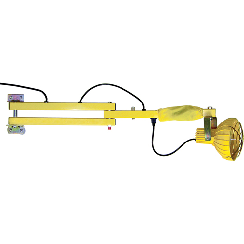 Dock Loading Lights with Flexible Arm, Incandescent Light, 60" Arm NRZ Safety Inc.