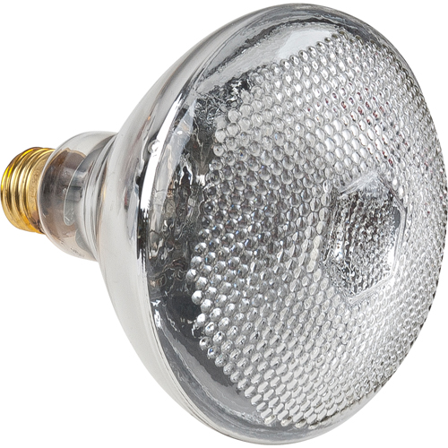 Lampes &agrave; incandescence &eacute;conomiques NRZ Safety Inc.