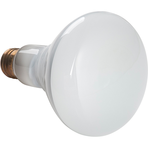 Lampes &agrave; incandescence &eacute;conomiques NRZ Safety Inc.