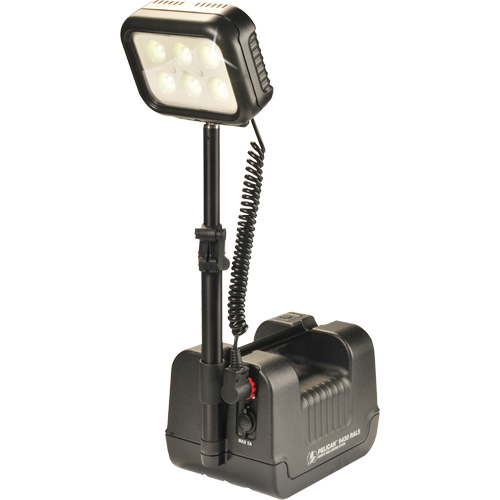 9430 Remote Area Lighting Systems, LED, 3000 Lumens, Plastic Housing NRZ Safety Inc.
