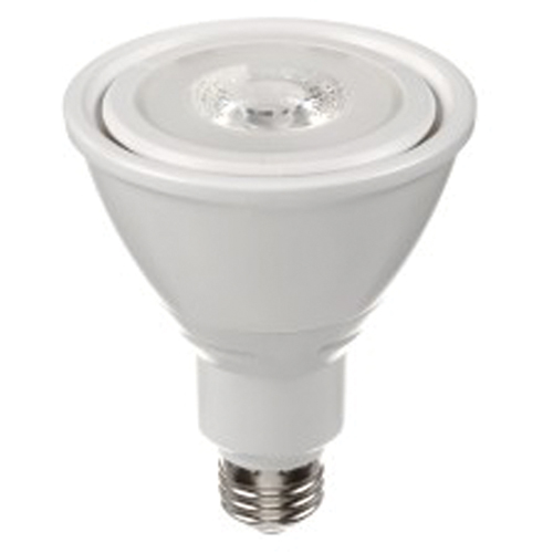 Ampoule DEL, PAR30, 10 W, 800 lumens, base Moyen NRZ Safety Inc.