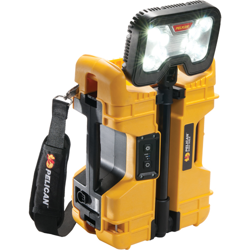 9480 Remote Area Lighting Systems, LED, 41.1 W, 4000 Lumens, Plastic Housing NRZ Safety Inc.