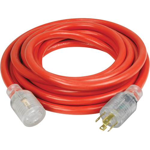 Generator Extension Cord with Quad Tap, Outdoor, 10 AWG, 30 A, 4 Outlet(s), 25' NRZ Safety Inc.