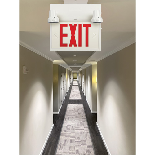 Exit Sign with Security Lights, LED, Battery Operated/Hardwired, 12-1/10" L x 11" W, English NRZ Safety Inc.