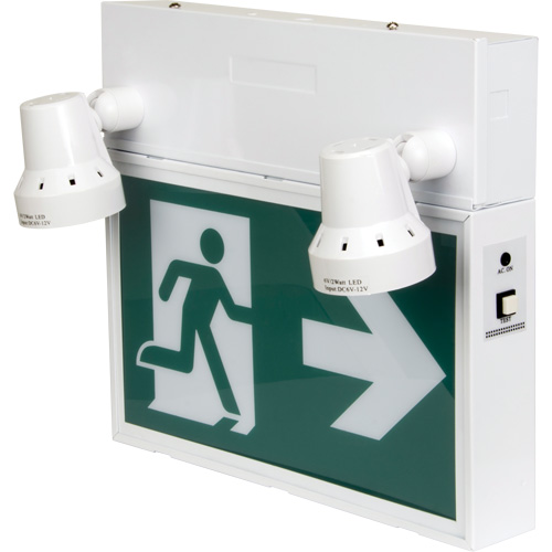 Running Man Sign with Security Lights, LED, Battery Operated/Hardwired, 12-1/10" L x 11" W, Pictogram NRZ Safety Inc.