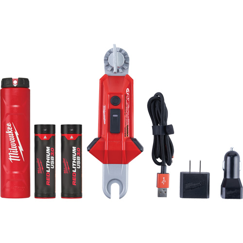 Lampe USB polyvalente REDLITHIUM pour perche isolante, DEL, Piles Rechargeable, Aluminium NRZ Safety Inc.
