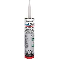 LeakSeal&reg; Clear Roof Patch NRZ Safety Inc.