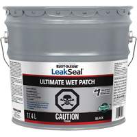 LeakSeal&reg; Ultimate Wet Roof Patch NRZ Safety Inc.