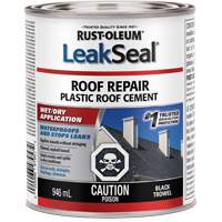 LeakSeal&reg; Wet/Dry Roof Repair NRZ Safety Inc.
