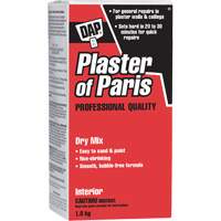 M&eacute;lange sec de pl&acirc;tre de Paris, 2 kg, Boîte NRZ Safety Inc.