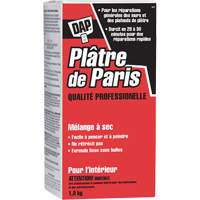 M&eacute;lange sec de pl&acirc;tre de Paris, 2 kg, Boîte NRZ Safety Inc.