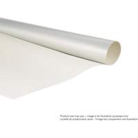 Ruban double face, 25,4 mm (1") la x 55 m (180') lo, 6,7 mils NRZ Safety Inc.