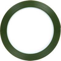 Ruban en polyester, Polyester, 25,4 mm (1") la x 66 m (216') lo, 1,9 mils &eacute;pais NRZ Safety Inc.