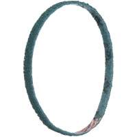 Scotch-Brite Surface Conditioning File Belts NRZ Safety Inc.