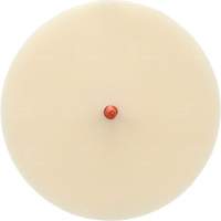 Disque Scotch-Brite 7502 pour retrait de colle et de bandes de moulage, 6" dia. NRZ Safety Inc.