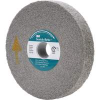 Meule d'&eacute;barbage EXL Scotch-Brite, 6" x 1", Arbre de 1" NRZ Safety Inc.