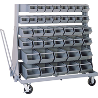 Mobile Bin Unit, Single-sided, 42 bins, 37" W x 21" D x 50-1/2" H NRZ Safety Inc.