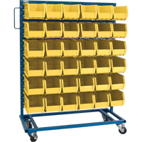 Single-Sided Mobile Bin Rack, Single-sided, 36 bins, 36" W x 16" D x 46-1/2" H NRZ Safety Inc.
