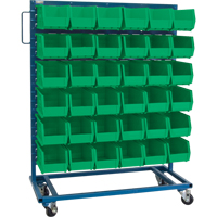 Single-Sided Mobile Bin Rack, Single-sided, 36 bins, 36" W x 16" D x 46-1/2" H NRZ Safety Inc.