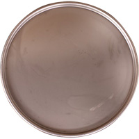 Steel Drum Lid NRZ Safety Inc.