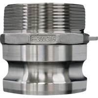 Cam & Groove Coupling, Stainless Steel, Type F, 3/4", Male NPT, 250 PSI NRZ Safety Inc.