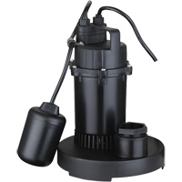 Pompe de puisard submersible thermoplastique, 2560 gal./h, 115 V, 4,6 A, 1/3 CV NRZ Safety Inc.