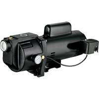 Dual Voltage Cast Iron Shallow Well Jet Pump, 115 V/230 V, 1260 GPH, 1 HP NRZ Safety Inc.