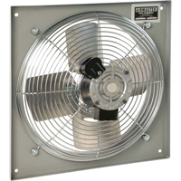 Ventilateurs muraux d'usage g&eacute;n&eacute;ral, Commercial, Dia 10", 2 vitesses NRZ Safety Inc.