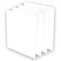 Pr&eacute;-filtres AeraMax Pro AM3 ou AM4, 13,75" la x 0,13" p x 14,38" h NRZ Safety Inc.