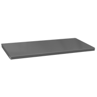 Tablettes de rechange pour armoire, 35-1/2" x 16-3/8", Capacit&eacute; de 900 lb, Acier, Gris NRZ Safety Inc.