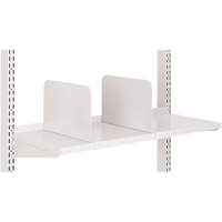 Arlink Workstation - Steel Shelve Dividers NRZ Safety Inc.