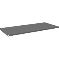 Tablette pour armoire, 47-3/4" x 21-3/8", Capacit&eacute; de 750 lb, Gris NRZ Safety Inc.