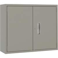 Wall Mounted Cabinet, Steel, 2 Shelves, 30" H x 36" W x 12" D, Grey NRZ Safety Inc.