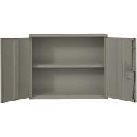 Wall Mounted Cabinet, Steel, 2 Shelves, 30" H x 36" W x 12" D, Grey NRZ Safety Inc.