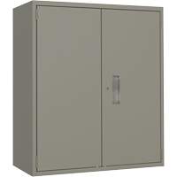 Lo-Boy Storage Cabinet, Steel, 2 Shelves, 40" H x 36" W x 18" D, Grey NRZ Safety Inc.