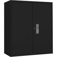 Lo-Boy Storage Cabinet, Steel, 2 Shelves, 42" H x 36" W x 18" D, Black NRZ Safety Inc.