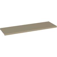 Tablettes suppl&eacute;mentaires pour armoires de s&eacute;rie 94, 36" x 18", Capacit&eacute; de 150 lb, Acier, Beige NRZ Safety Inc.