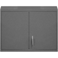 Armoire murale, 27" h x 29-7/8" la x 13-11/16" p, 2 tablettes, Acier, Gris NRZ Safety Inc.
