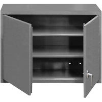Armoire murale, 27" h x 29-7/8" la x 13-11/16" p, 2 tablettes, Acier, Gris NRZ Safety Inc.