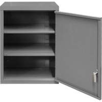 Armoire murale, 27" h x 13-11/16" la x 18" p, 2 tablettes, Acier, Gris NRZ Safety Inc.
