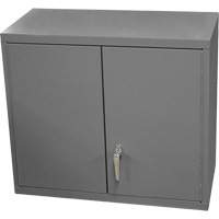 Armoire murale, 27" h x 13-11/16" la x 35-7/8" p, 2 tablettes, Acier, Gris NRZ Safety Inc.