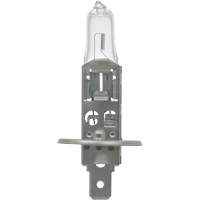 64155 Ampoule automobile de base, Halog&egrave;ne, 78 W, Blanc cass&eacute; NRZ Safety Inc.